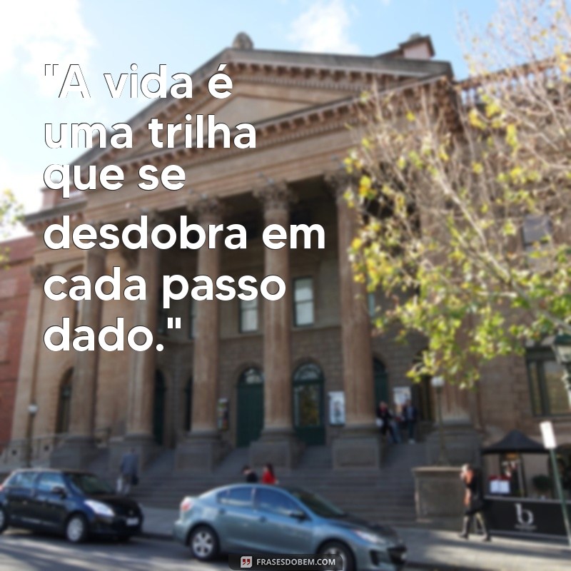 frases de trilheiro 