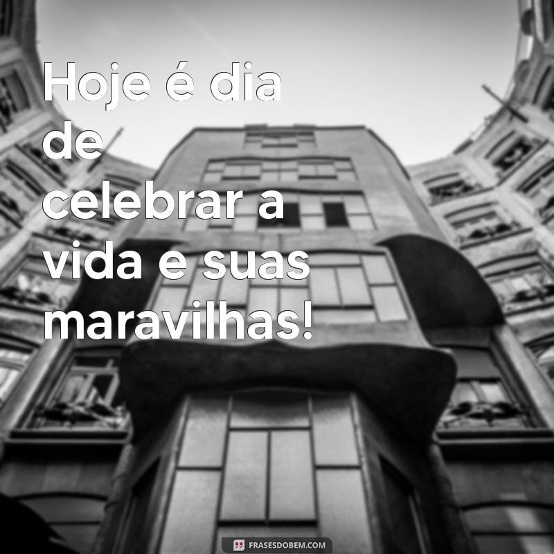 Frases Curtas de Gratidão para Celebrar Meu Aniversário 