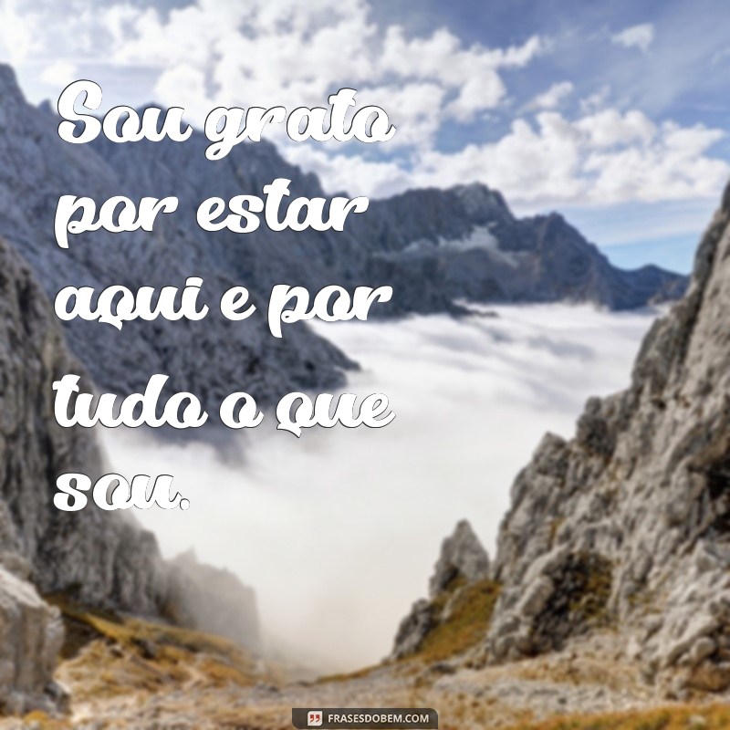 Frases Curtas de Gratidão para Celebrar Meu Aniversário 