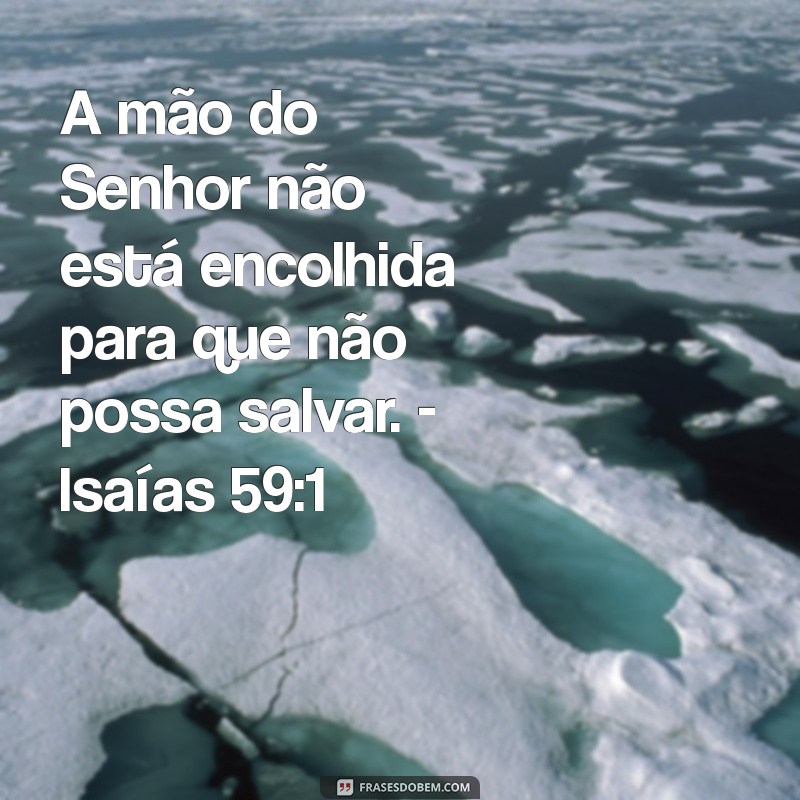 Versículos de Avivamento: Inspirações Bíblicas para Renovar sua Fé 