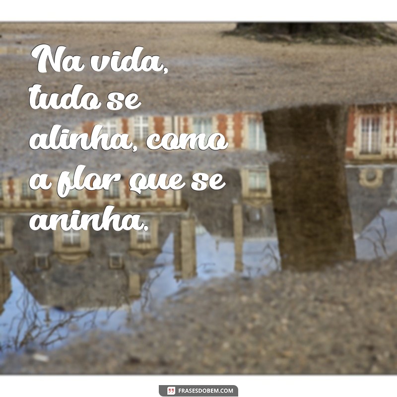 frases com rimas curtas Na vida, tudo se alinha, como a flor que se aninha.