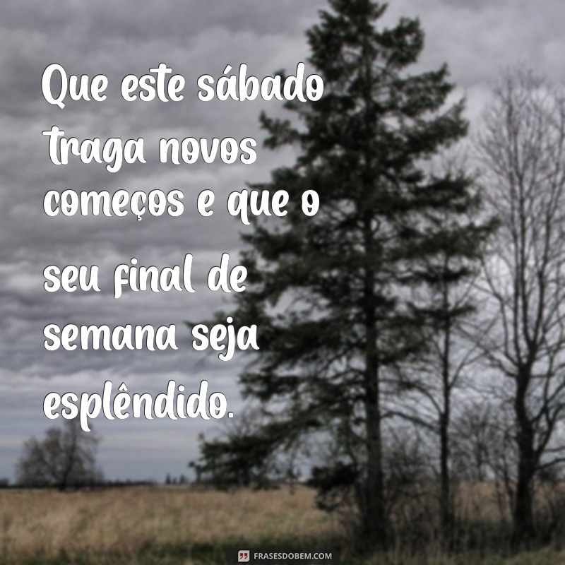 Frases Inspiradoras para um Sábado Agradável e um Final de Semana Incrível 