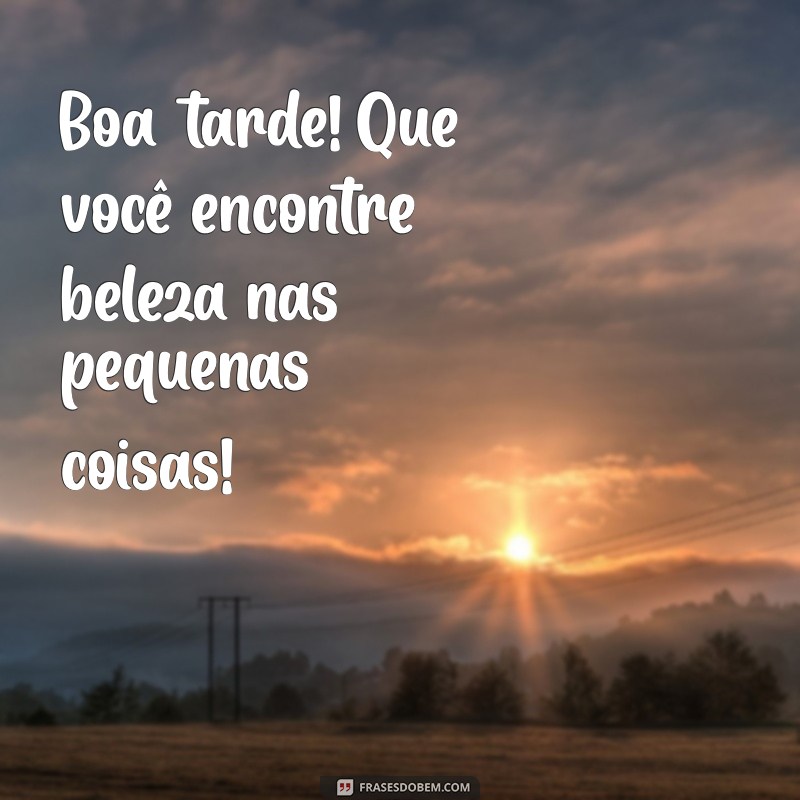 Boa Tarde Figurinha: Mensagens e Frases Para Compartilhar Alegria 