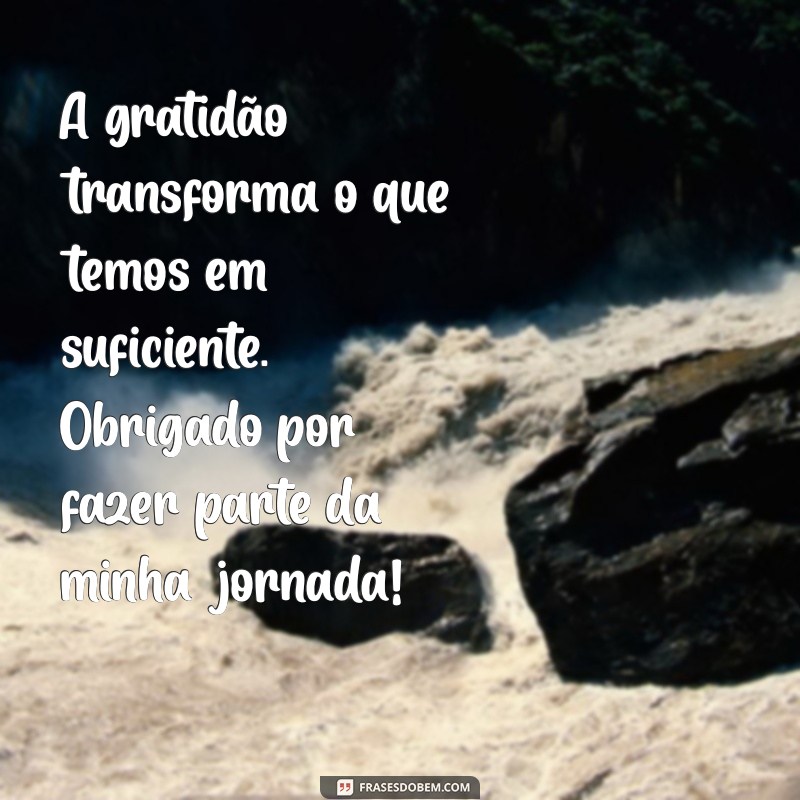 mensagem de agradecimento e motivação A gratidão transforma o que temos em suficiente. Obrigado por fazer parte da minha jornada!