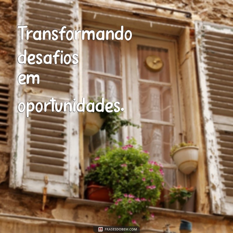 As Melhores Frases Bonitas para Transformar Sua Bio do Instagram 