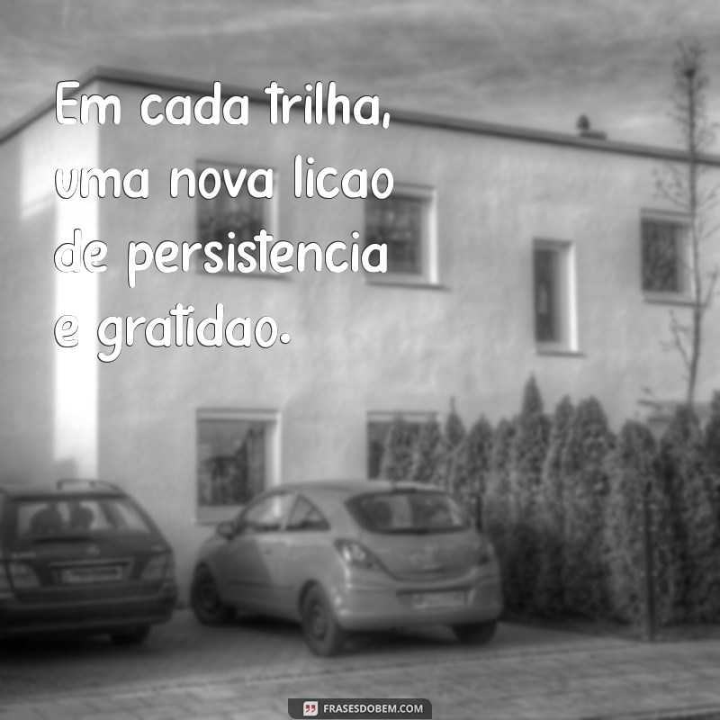 10 Dicas Imperdíveis para Aproveitar um Dia de Trilha Inesquecível 