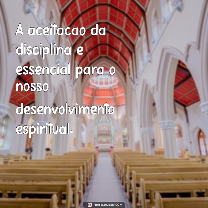 Hebreus 12:7 - Entendendo a Disciplina como Sinal de Amor Divino 