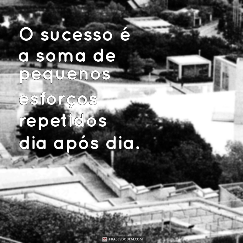 frases de encorajamento profissional O sucesso é a soma de pequenos esforços repetidos dia após dia.