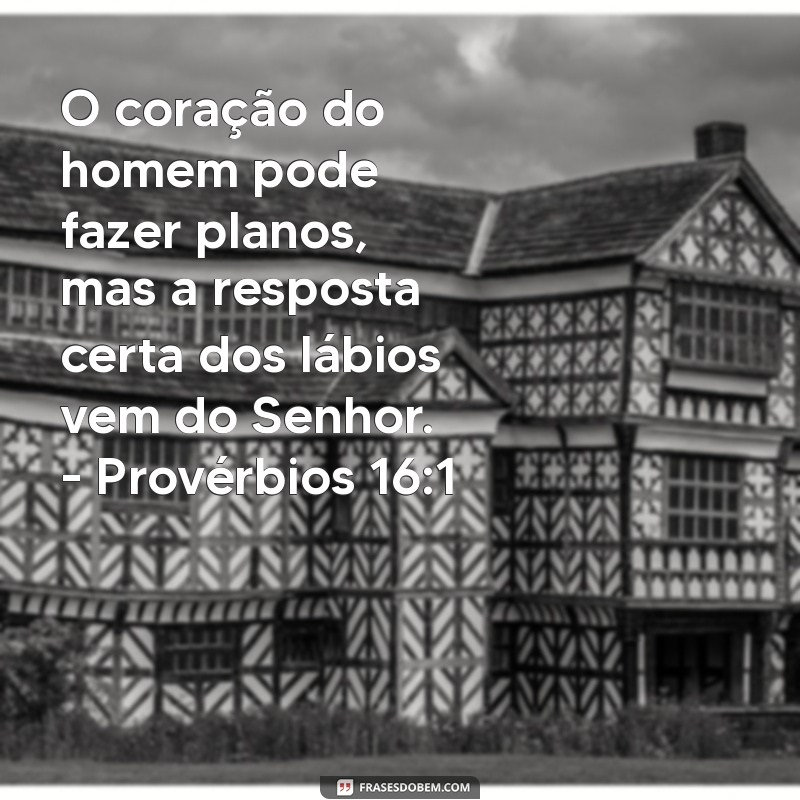 Versículo do Dia: Inspiração Diária da Bíblia para Sua Vida 