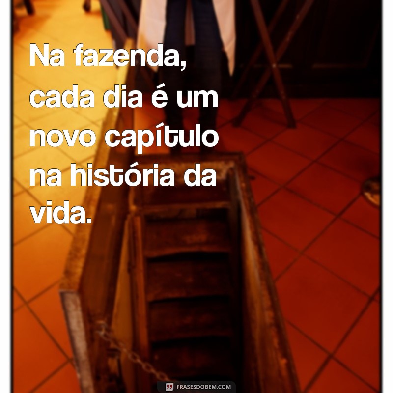 Frases Engraçadas sobre Gado e Fazenda: Humor do Campo 