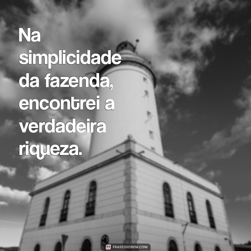 Frases Engraçadas sobre Gado e Fazenda: Humor do Campo 