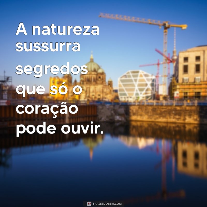 Descubra as 30 Frases Mais Lindas para Inspirar Seu Dia 