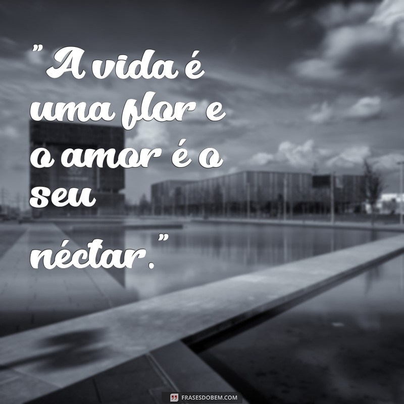 frases mais lindas 