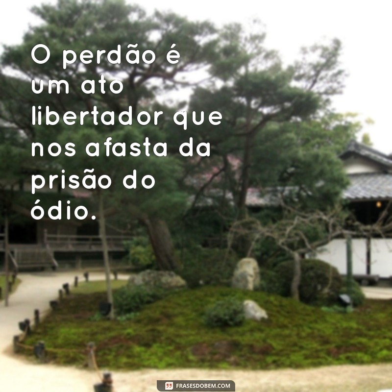 Frases Inspiradoras sobre Perdão: Encontre a Paz Interior 