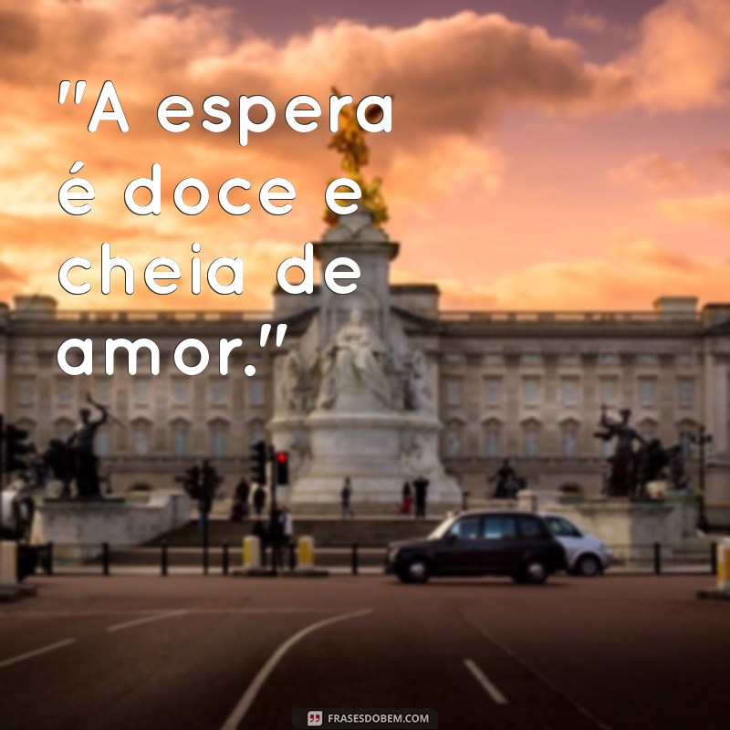 frases fotos gravida 