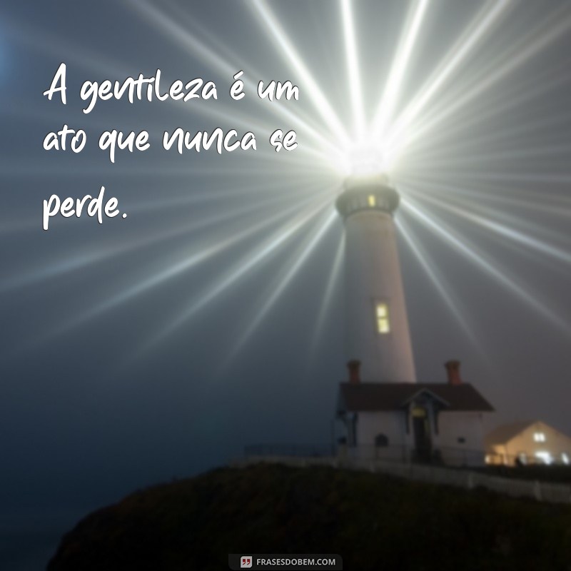 Frases Inspiradoras: Como a Gentileza Gera Gentileza no Dia a Dia 