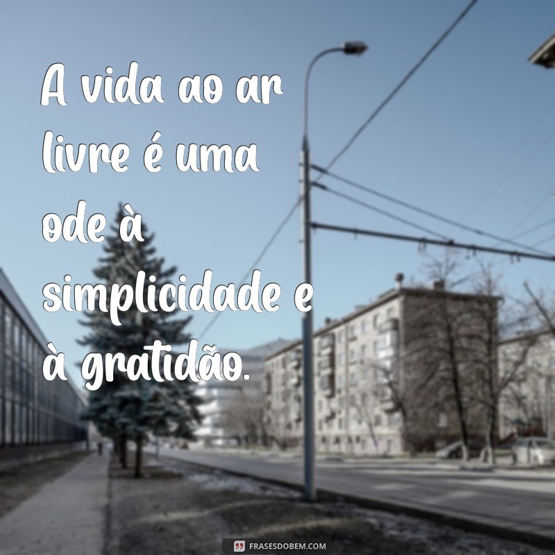 Frases Inspiradoras de Into the Wild que Transformam sua Perspectiva de Vida 