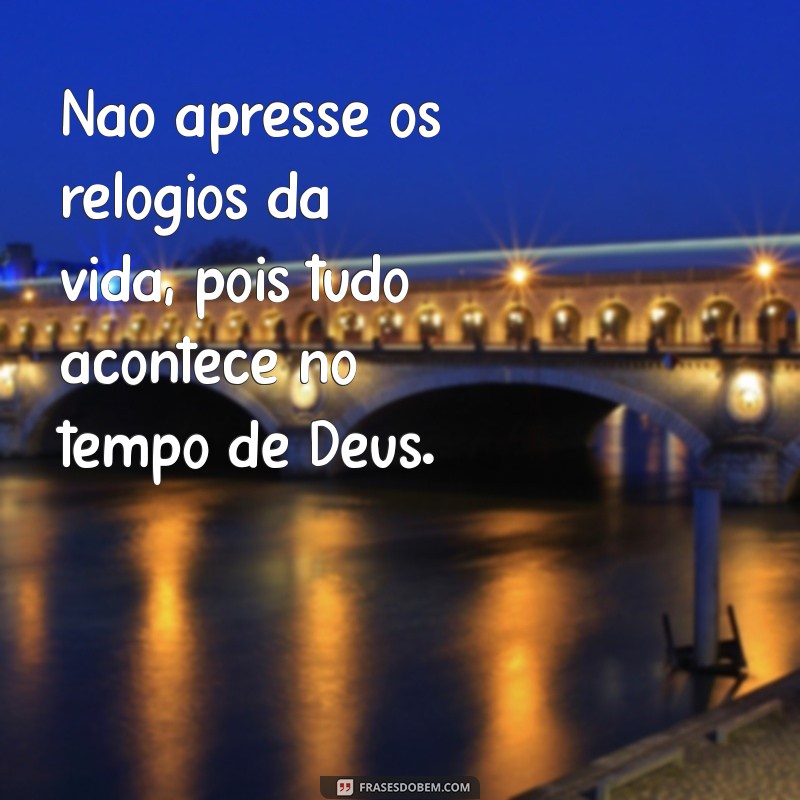 Entenda Como Tudo Acontece no Tempo de Deus: Reflexões e Inspirações 