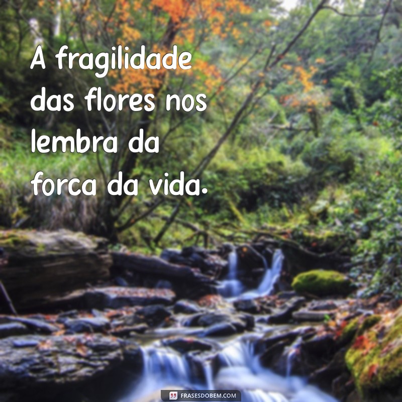 50 Frases Inspiradoras para Legendar Suas Fotos com Flores 