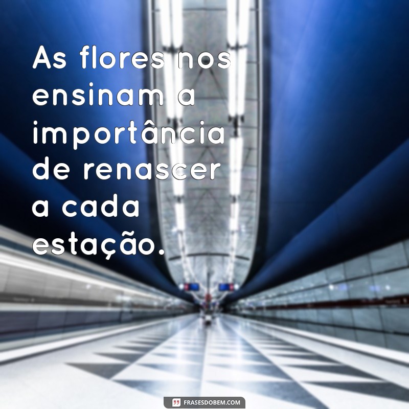 50 Frases Inspiradoras para Legendar Suas Fotos com Flores 