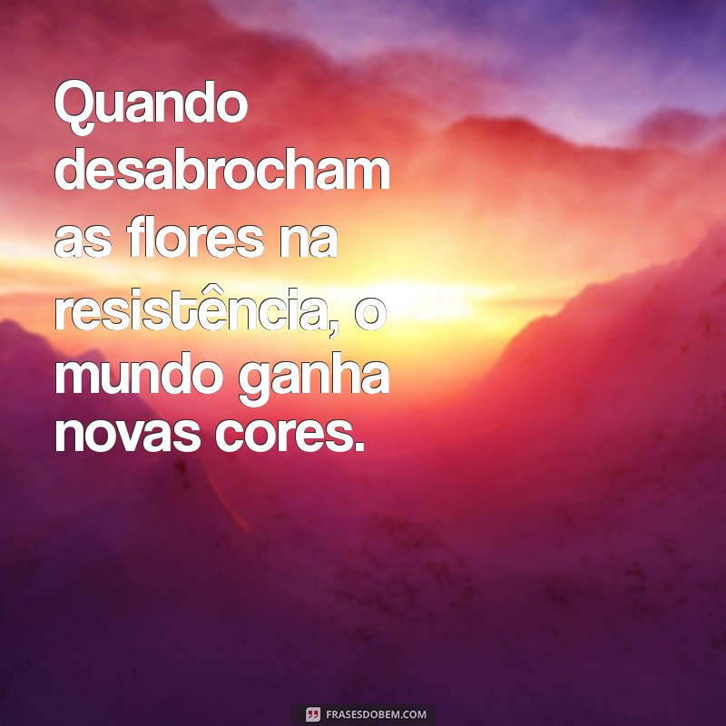 Descubra a Flor que Desabrocha na Adversidade: Lições de Resiliência e Superação 