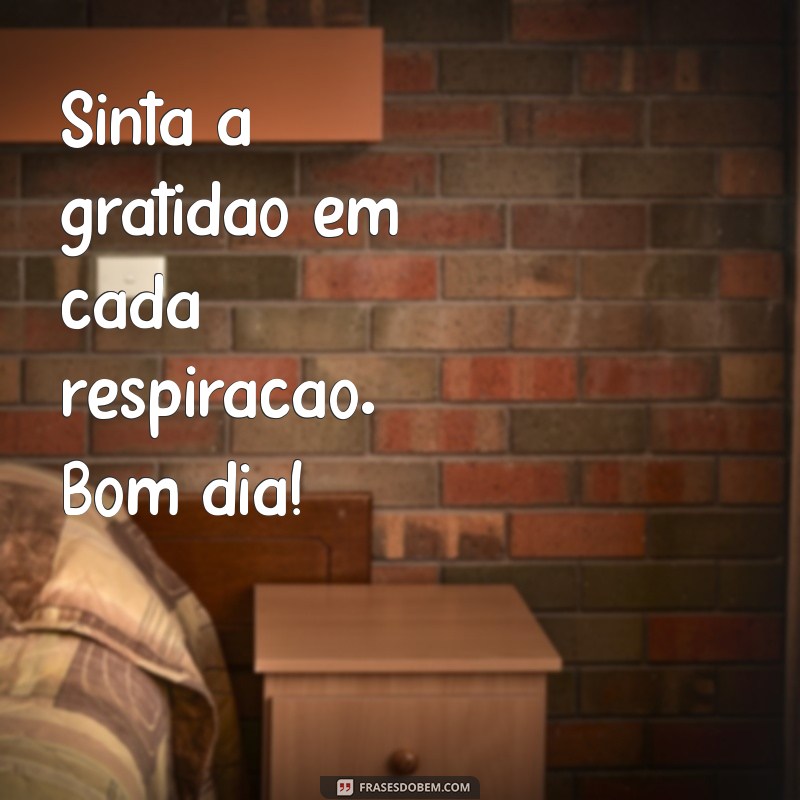 Frases Inspiradoras de Bom Dia: Cultive a Gratidão Todos os Dias 