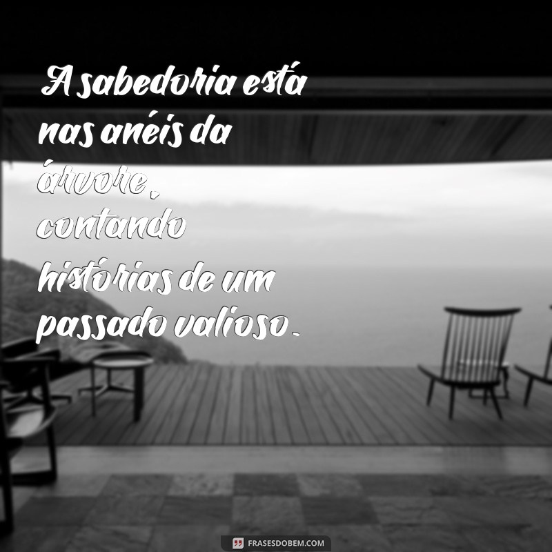 Frases Inspiradoras sobre a Árvore da Vida: Reflexões e Sabedoria 