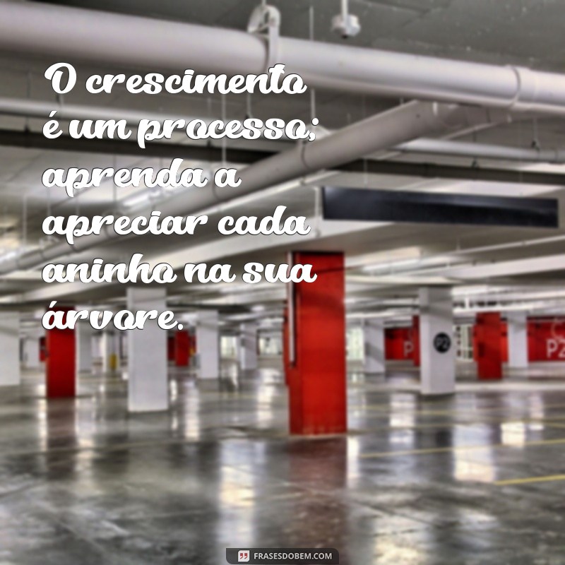 Frases Inspiradoras sobre a Árvore da Vida: Reflexões e Sabedoria 