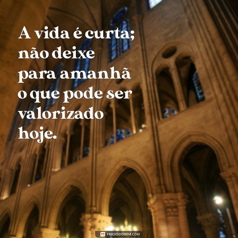 Frases Inspiradoras para Refletir e Transformar sua Vida 