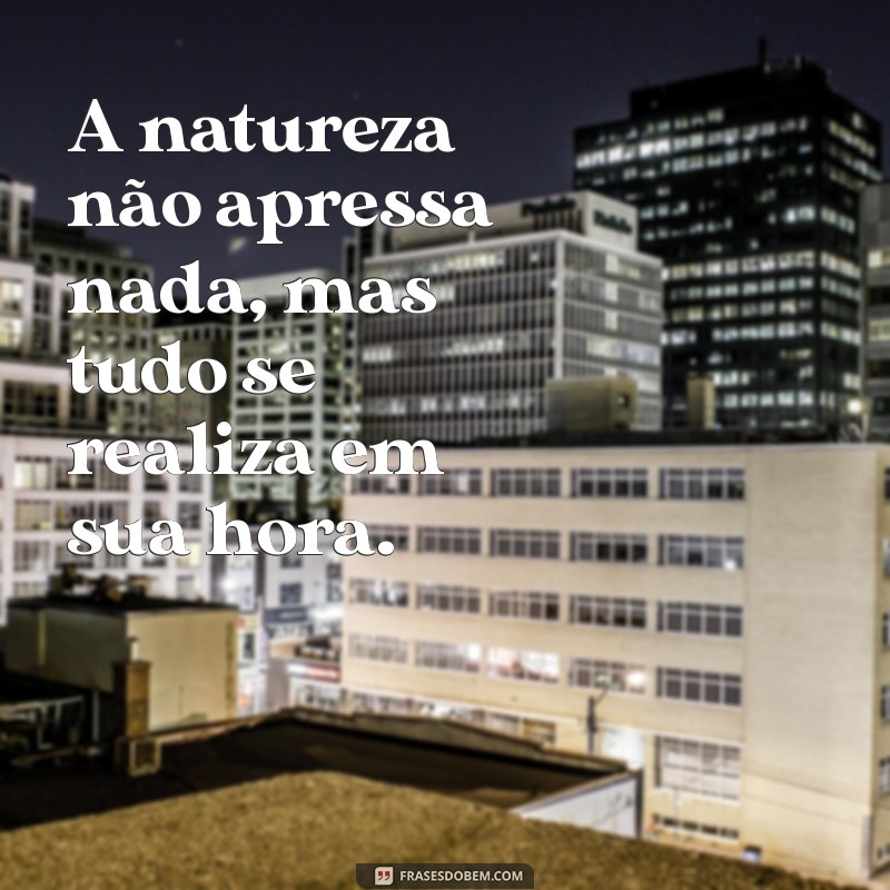 Frases Inspiradoras sobre Paisagens: Capturando a Beleza da Natureza 