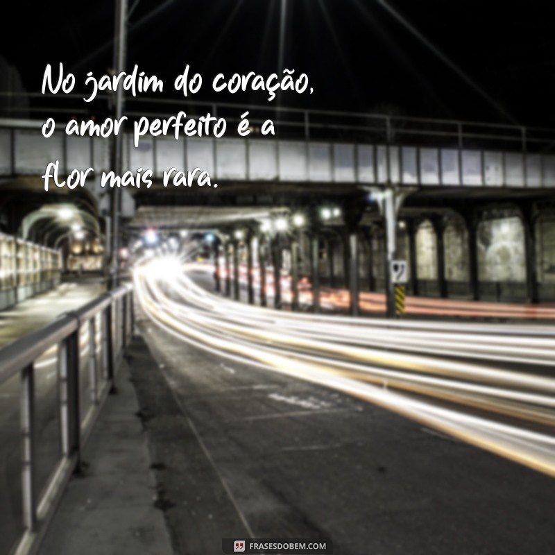 Mensagens de Amor Perfeito: Inspire-se com Frases que Encantam 