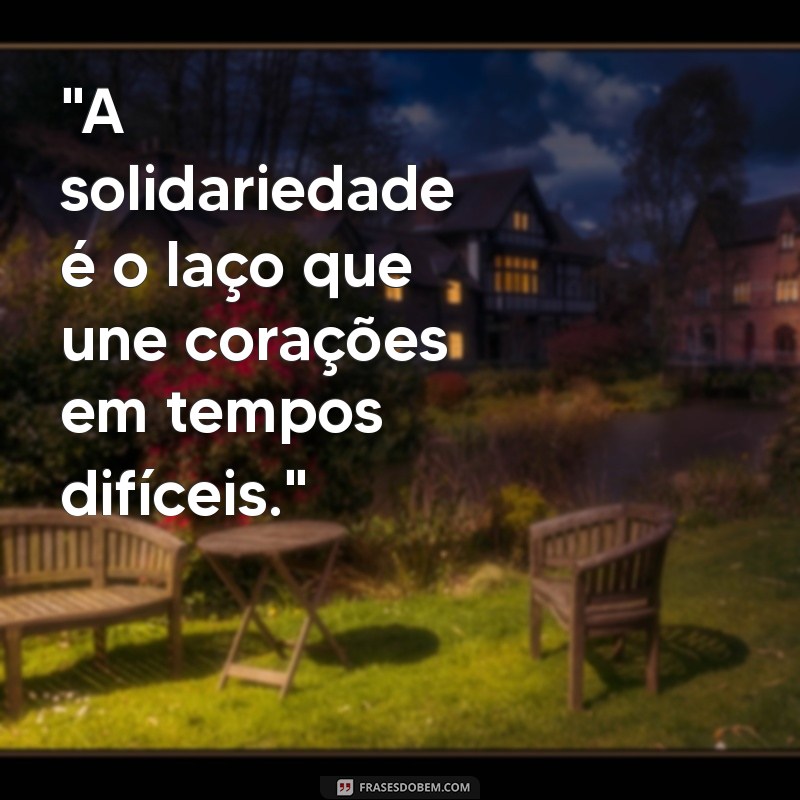 frases solidária 