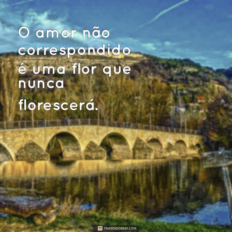 Superando o Amor Não Correspondido: Dicas e Reflexões para Curar o Coração 