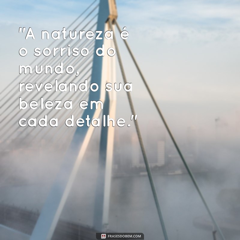 frases para paisagens 