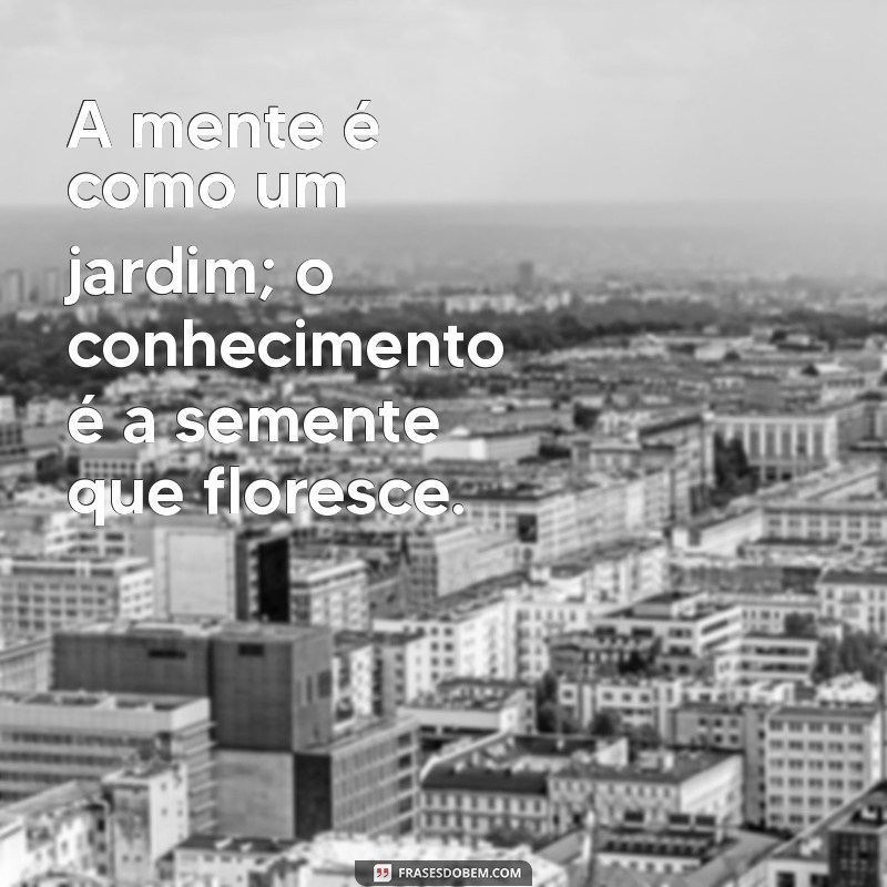 Frases Inspiradoras sobre Conhecimento: O Poder da Sabedoria 