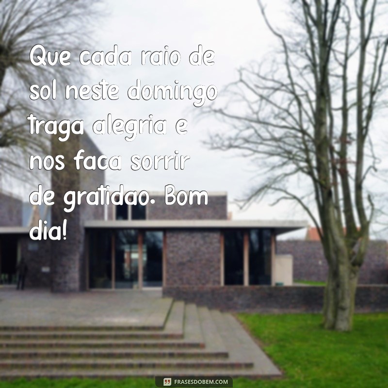 Bom Dia Domingo: Cultivando Alegria e Gratidão para um Final de Semana Perfeito 