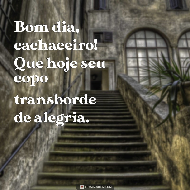 bom dia cachaceiro Bom dia, cachaceiro! Que hoje seu copo transborde de alegria.