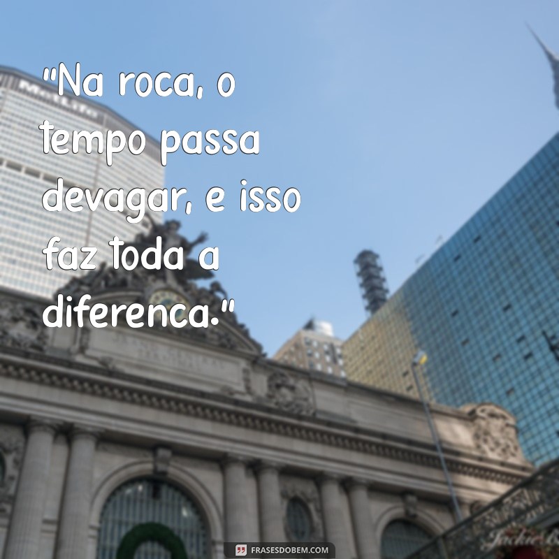 frases vida na roça 