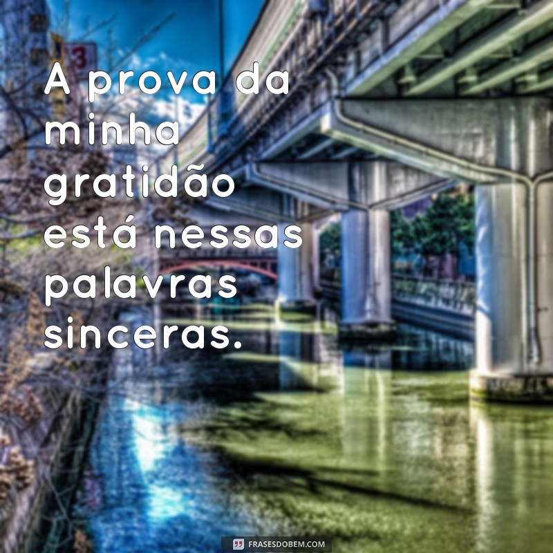 Descubra as melhores frases de prova para se inspirar e alcançar o sucesso 