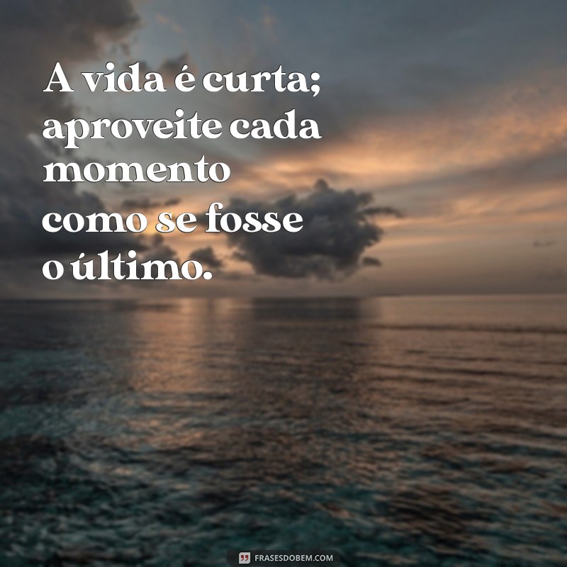 As Melhores Frases de Pablo Escobar: Reflexões de um Ícone do Crime