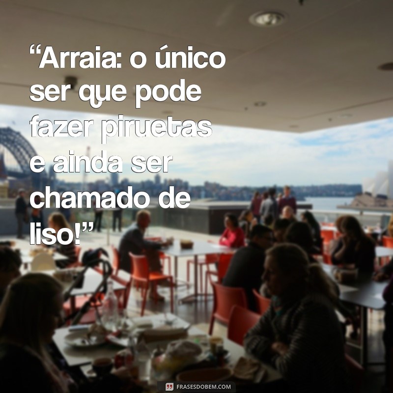 As Melhores Frases Engraçadas sobre Arraias para Arrasar nas Redes Sociais 