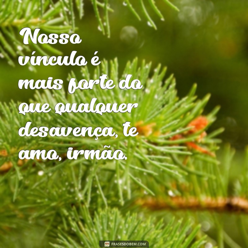 Descubra as mais belas frases de amor para o seu irmão - Te amo! 