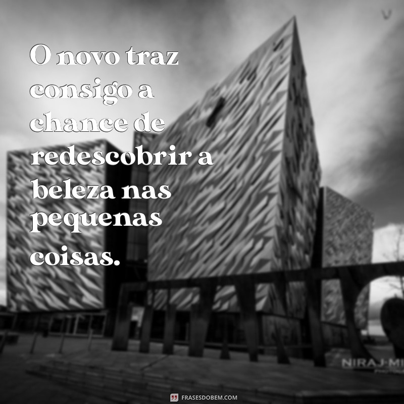 Frases Inspiradoras sobre Novos Começos: Renove sua Perspectiva 