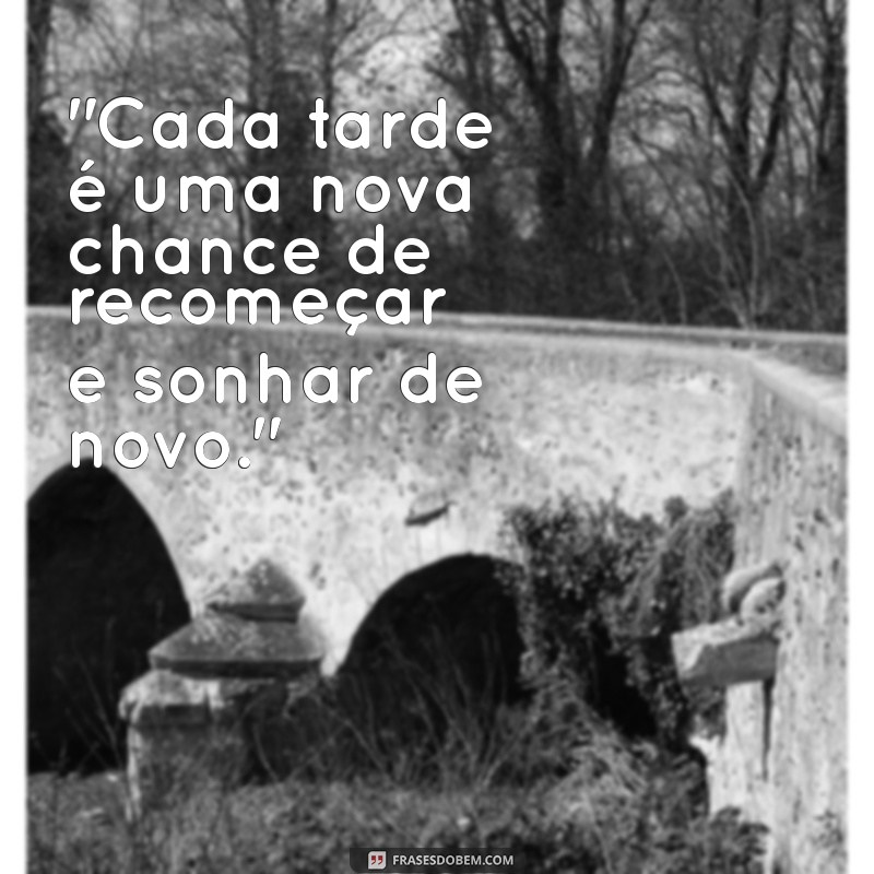 frases tarde 