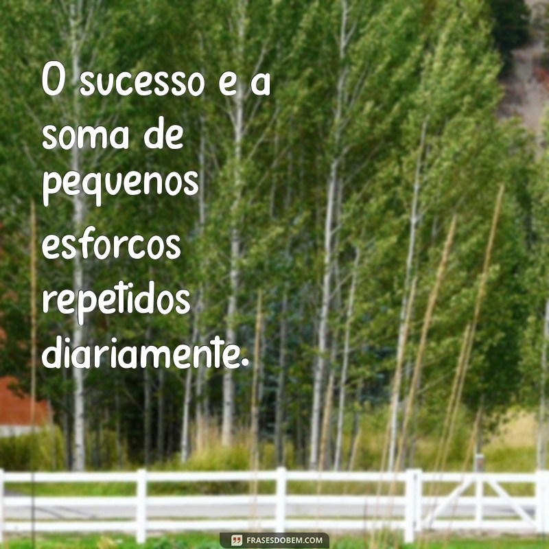 Frases Motivacionais para Estudar: Inspire-se a Atingir Seus Objetivos Acadêmicos 