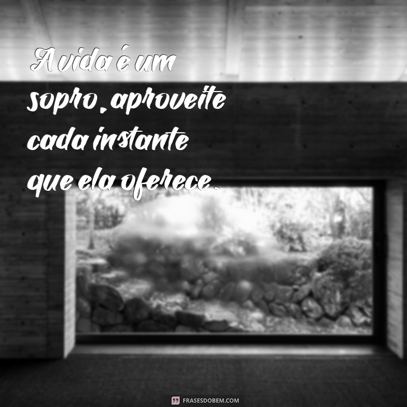 a vida é um sopro aproveite hoje A vida é um sopro, aproveite cada instante que ela oferece.