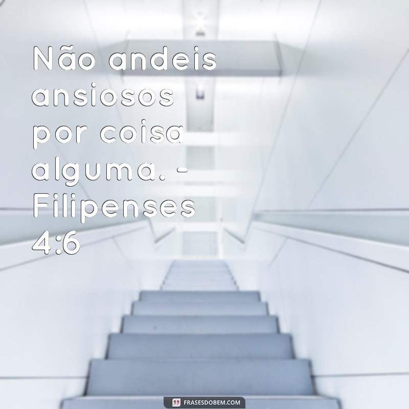 Frases Inspiradoras da Bíblia para Transformar Seu Status 