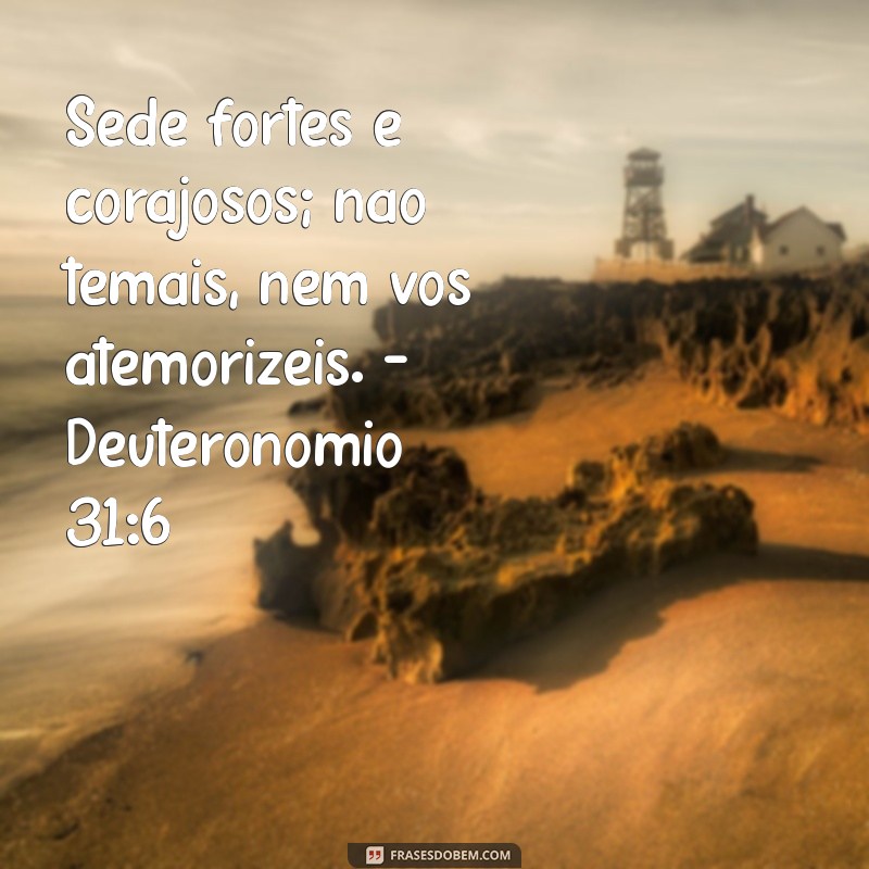 Frases Inspiradoras da Bíblia para Transformar Seu Status 