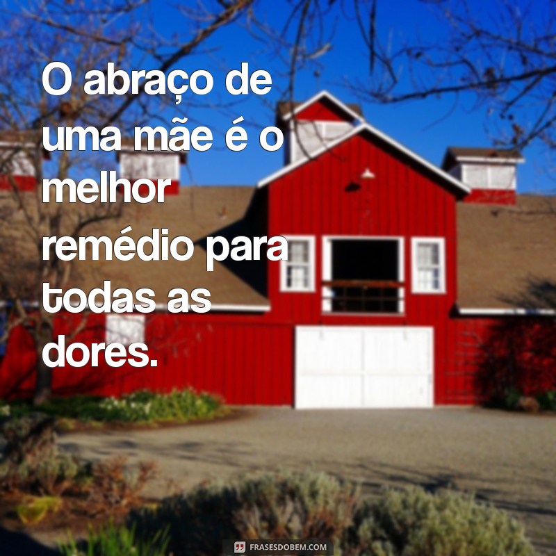 Frases Inspiradoras para Celebrar o Amor de Mãe 