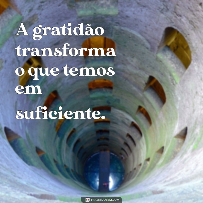 louvor de agradecimento A gratidão transforma o que temos em suficiente.